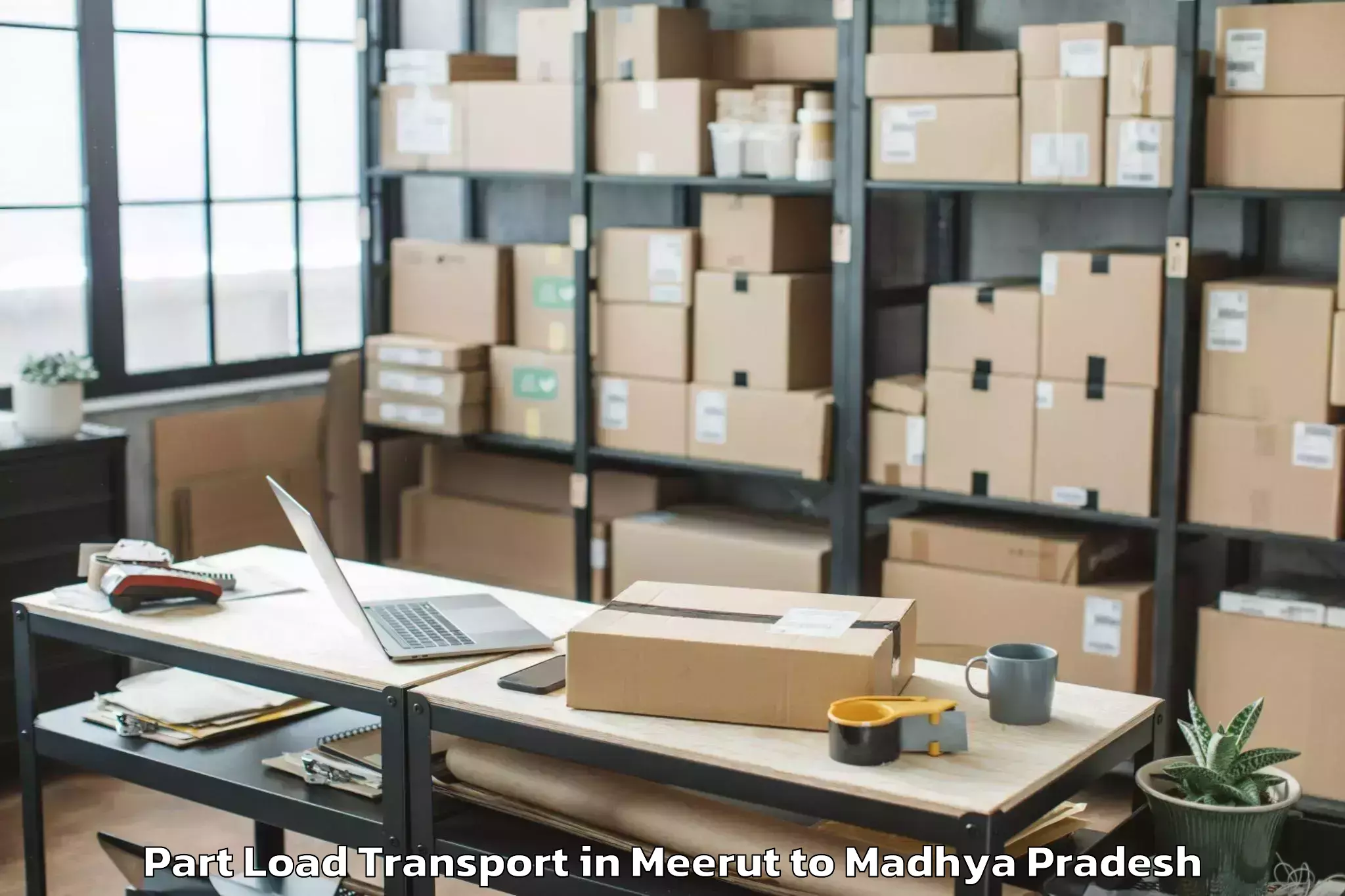 Top Meerut to Bada Malhera Part Load Transport Available